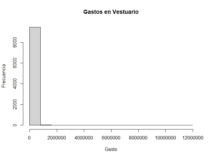 Fig. 5. Histograma Gastos en Vestuario
